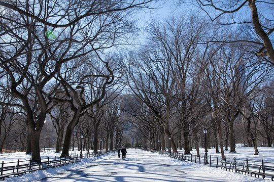 Tour image 10