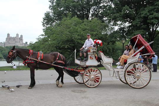 Tour image 14