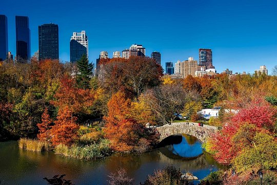 Tour image 8