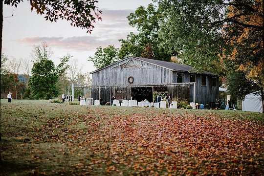 Tour image 4